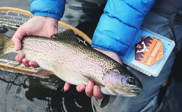 A Guide to Upstate New York's Best Trout Fishing Spots