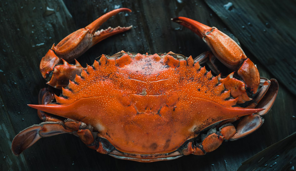 13 Best Restaurants to Eat Crabs in New Jersey