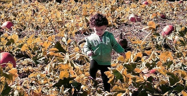 8 Vermont Pumpkin Patches: Ready for Fall Fun!
