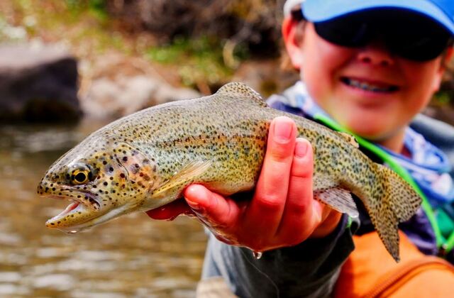 Trout Hotspots: Michigan's Best Trout Streams for 2024
