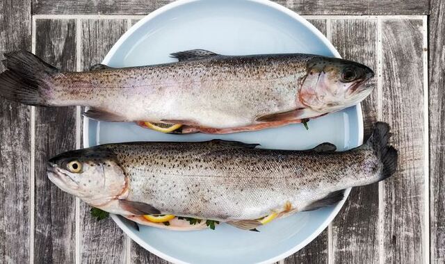 Beyond the Beaches: Cast a Line for Hawaii's Rainbow Trout