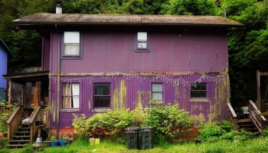 What to Know Before Buying a Home in Alaska