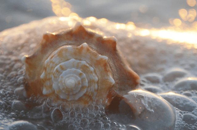 Fort Myers Beach: The Perfect Winter Beach Vacation