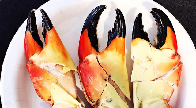 5 Must-Try Stone Crab Spots in Florida