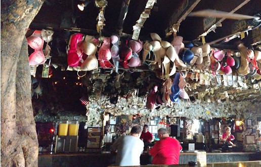 7 Best Key West Florida Bars to Check-Out