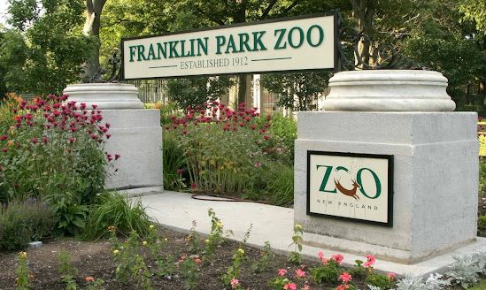 Plan a Visit to Franklin Park Zoo in Boston MA