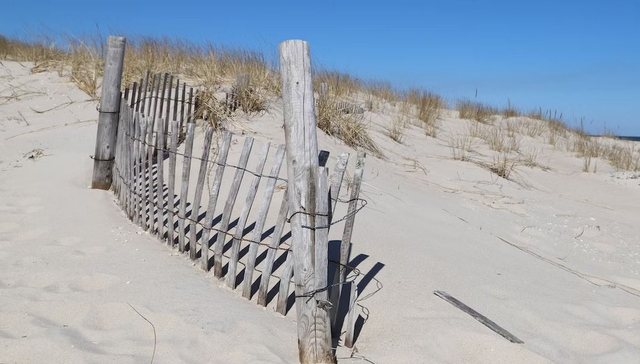 Explore the Beauty of Long Beach Island: A Vacation Destination for All
