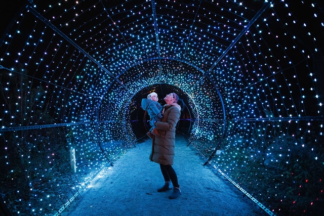 Philadelphia Zoo’s Luminature Presented By PNC Returns For Another Year